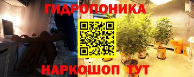 ГАЛЛЮЦИНОГЕННЫЕ ГРИБЫ Конаково