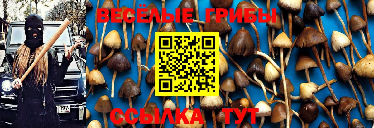 Джанкой  Псилоцибиновые грибы Cubensis  Вход с VPN 