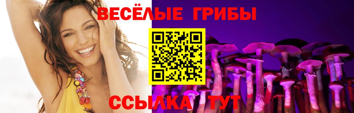 Галлюциногенные грибы Cubensis Джанкой